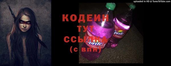 ПСИЛОЦИБИНОВЫЕ ГРИБЫ Арсеньев