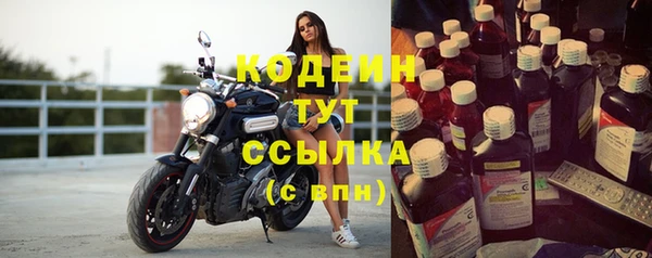 ПСИЛОЦИБИНОВЫЕ ГРИБЫ Арсеньев