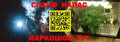 Альфа ПВП Беслан