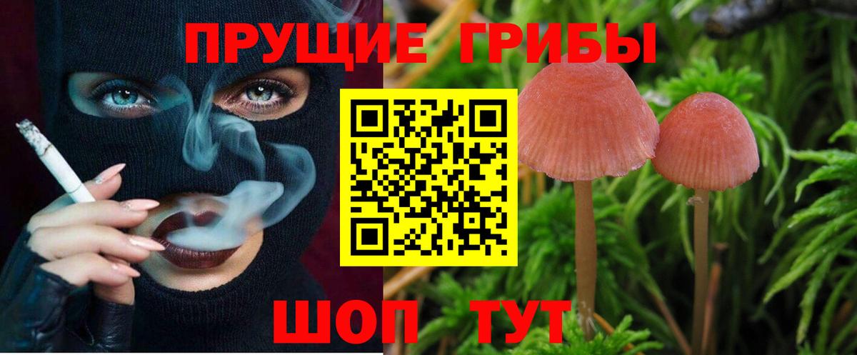 Псилоцибиновые грибы прущие грибы  Вход с VPN  Каспийск 
