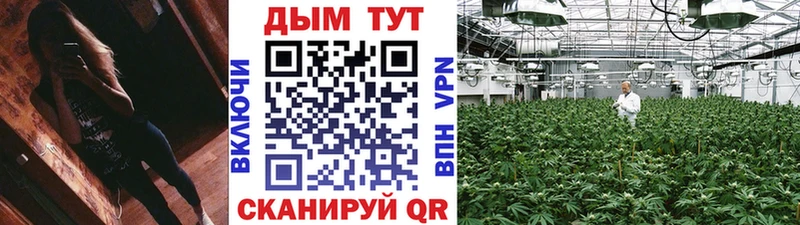 нарко площадка официальный сайт  ссылка на мегу как зайти  Каспийск  где купить наркоту  Каннабис Amnesia 